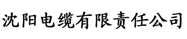 古筝电影夏沫免费观看电缆厂logo